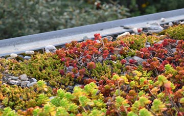 the cost of Avery Hill green roof installation