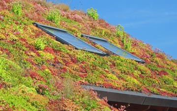Avery Hill living roof systems