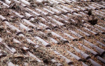 Avery Hill roof cleaning companies